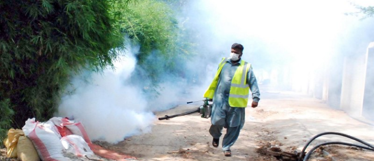 Dengue Spray In Lahore