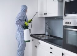 Pest Control Services in Richmond Hill, ON _ Pest Exterminators in Richmond Hill